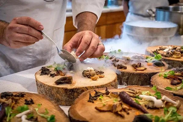 Gastronomi Sanatı